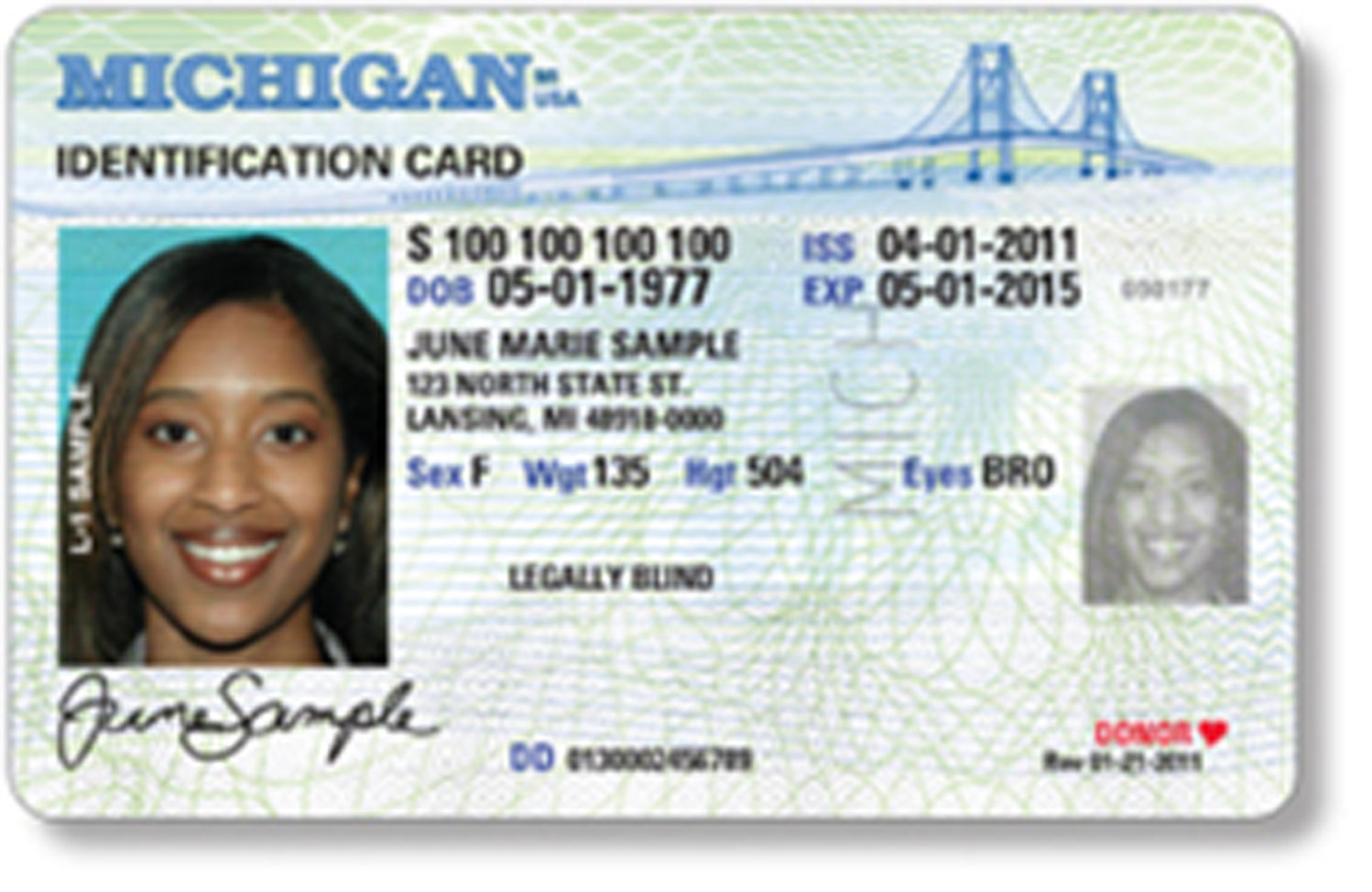 Michigan Fake Id Vs Real